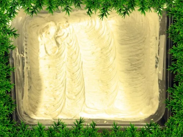 Enriched Whipped Shea Butter Plain
